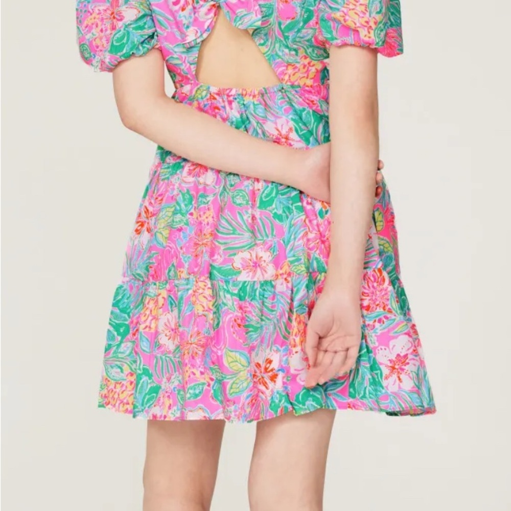 Lilly Pulitzer
Nalani Dress Floral V-Neck Puff Sleeve Dress - Picture 3 of 12
